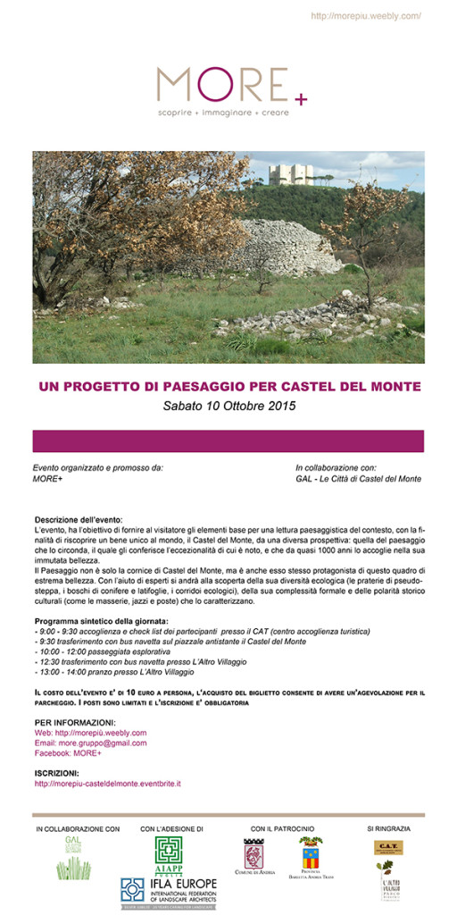 locandina MORE 2015